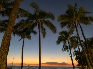 Naklejka na ściany i meble Palm trees at sunset in Hawaii