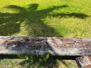 Fototapeta premium Landscape with shadow of palm tree
