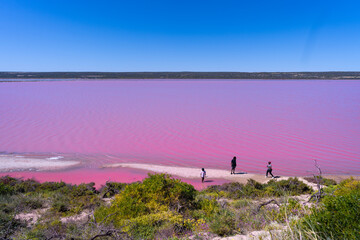 Pink lake in Perth, West Australia