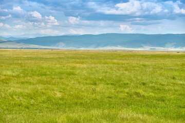 Fototapeta premium Steppe in the Barguzin Valley of the Republic of Buryatia on a clear sunny day.