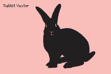 Black rabbit. Cartoon rabbit vector. Icon. Isolated cartoon icon set. Vector Rabbit illustration on isolated background.