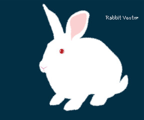 White Rabbit. cartoon rabbit vector Icon. Isolated cartoon icon set.Vector Rabbit illustration on isolated background.