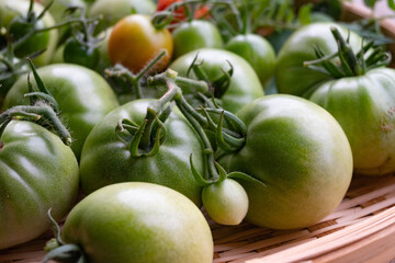 季節外れのトマト