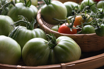 季節外れのトマト