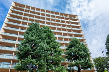 木造の超高層ビル