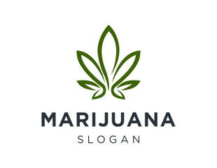 Obraz premium Logo design about marijuana on a white background. made using the CorelDraw application.