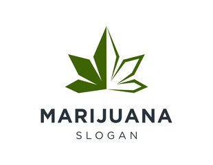 Logo design about marijuana on a white background. made using the CorelDraw application.