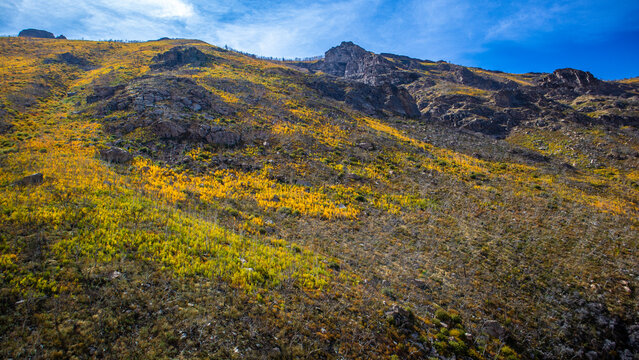 Lamoille Canyon Fall