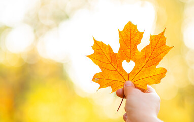 Woman holds dry golden autumn leaf with hole heart shape. Ray of the sun breaks through a heart cut...