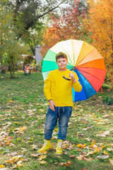 Full length portrait of a cute boy dressed in yellow long sleeve and yellow rubber boots standing under a colorful umbrella. A child in the autumn park posing with rainbow umbrella.