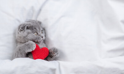 Cute fold kitten hugs red heart on a bed under warm white blanket. Valentines day concept. Top down...