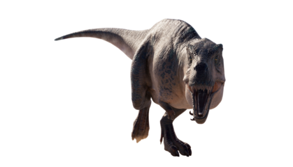dinosaur king acrocanthosaurus. acrocanthosaurus dinosaur on a blank background PNG