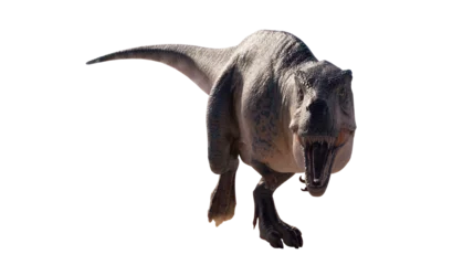 Zelfklevend Fotobehang dinosaur king acrocanthosaurus. acrocanthosaurus dinosaur on a blank background PNG © akiratrang