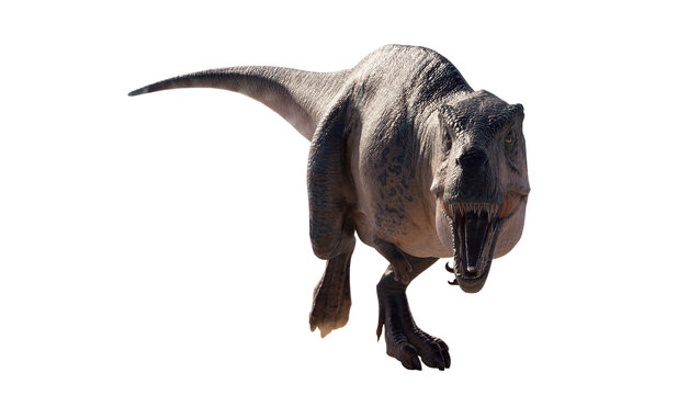 Fototapeta dinosaur king acrocanthosaurus. acrocanthosaurus dinosaur on a blank background PNG