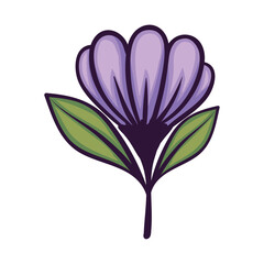 purple flower and leafs