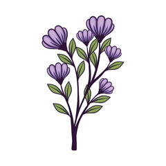 purple flowers plant garden