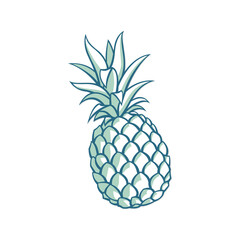 Pineapple flat style illustration isolated on png transparent background