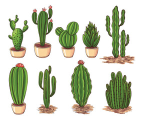 Cactus drawing. Collection of cactus hand drawn vector isolated on white background