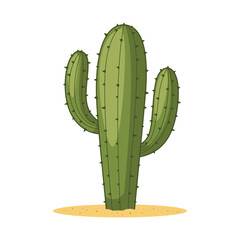 Cactus cartoon vector isolated on white background