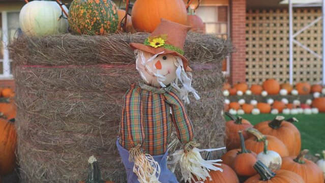 Footage of a scarecrow in a pumpkin patch in front of a church during Halloween