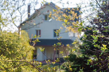 spring garden and white house