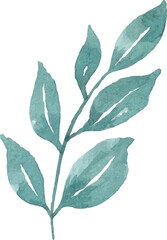 watercolor leaf minimal design 