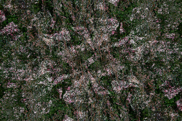 Close up rough textured as wallpaper. Abstract surface pattern.