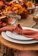 Traditional thankgiving celebration pumpkins sunlight romantic rustic dinner. Thankgiving table set