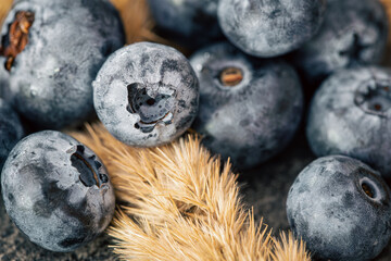 Natural vintage background with blueberries, macro shot.