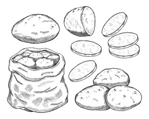 A collection of hand drawn potato sketches. Raw whole potatoes, slices of potatoes and a sack of potatoes