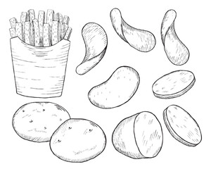 A collection of hand drawn potato sketches. Raw Whole Potatoes, Potato Slices, French Fries and Potato Chips