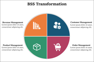 BSS Transformation with icons in an Infographic template