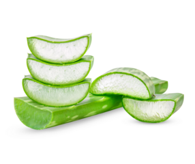 Aloe Vera isolated on transparent background. (.PNG)
