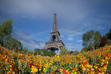 Eiffel tower in the landscape in Paris from the Champ de Mars with a colorful garden and flowers in the foreground