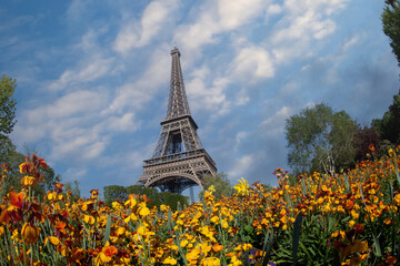 Fototapeta na wymiar Eiffel tower in the landscape in Paris from the Champ de Mars with a colorful garden and flowers in the foreground