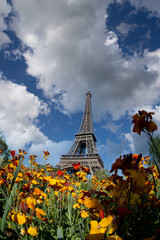 Eiffel tower in the landscape in Paris from the Champ de Mars with a colorful garden and flowers in the foreground