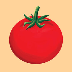 Hand drawn fresh tomato sketch vector