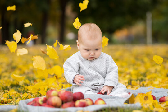 Confused baby sits on ground in autumn park. Funny girl plays with fresh red apples among green grass and yellow leaves. Baby looks at patterns on comfy plaid