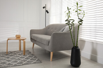 Vase with green bamboo stems near sofa in living room interior