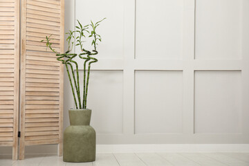 Vase with green bamboo stems and folding screen on floor in room. Interior design