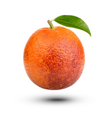Orange Blood with leaves isolated on transparent background. (.PNG)
