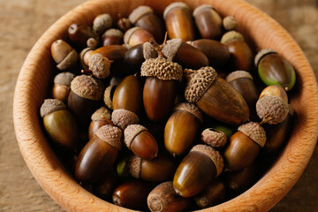 Bowl of acorns on wooden table, closeup