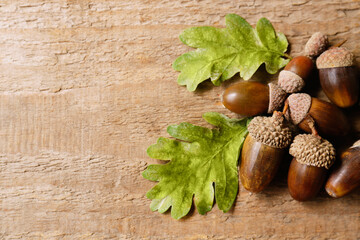 Pile of acorns and oak leaves on wooden table. Space for text