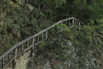 Fototapeta na wymiar Wooden hand railings near stone stairs and plants outdoors