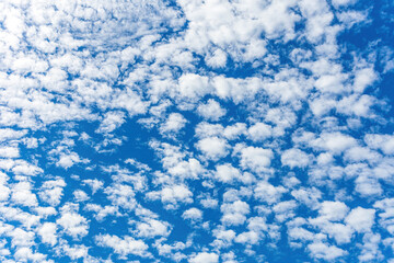 Obraz premium blue sky background with small clouds.