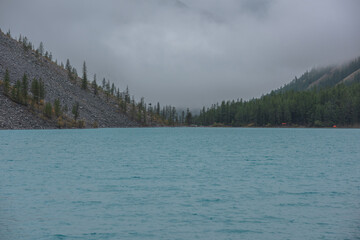 Dramatic meditate landscape with ripples on big azure mountain lake against pointy firs silhouettes in low clouds. Tranquil view to cyan alpine lake and peaked tops of spruces in low cloudy gray sky.