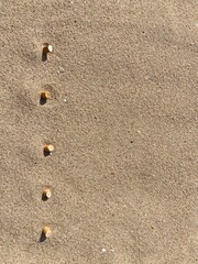 five cigarette butts arranged as bullet points in sand on beach