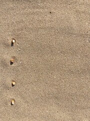 Four cigarette butts arranged as bullet points in sand on beach