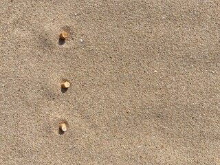 three cigarette butts arranged as bullet points in sand on beach