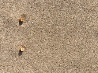 Fototapeta na wymiar two cigarette butts arranged as bullet points in sand on beach